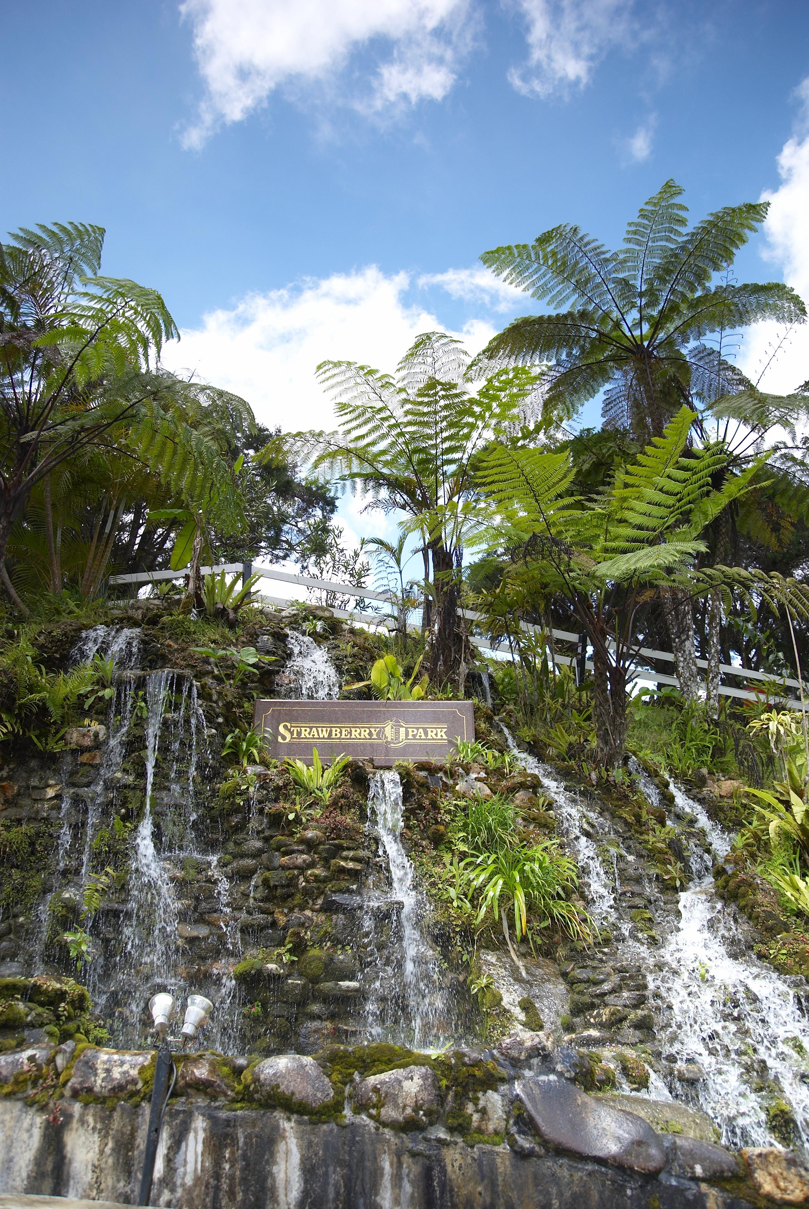 Strawberry Park Resort Tanah Rata Exterior photo